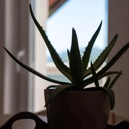 Apartamento Big Mama's *